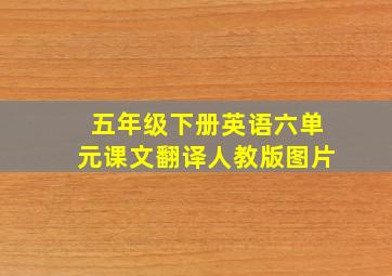 五年级下册英语六单元课文翻译人教版图片