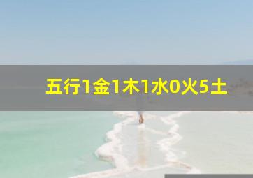 五行1金1木1水0火5土