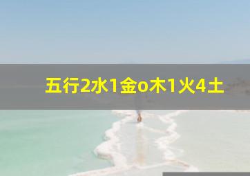 五行2水1金o木1火4土