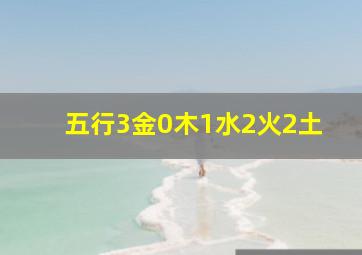 五行3金0木1水2火2土