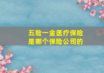 五险一金医疗保险是哪个保险公司的