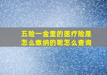 五险一金里的医疗险是怎么缴纳的呢怎么查询