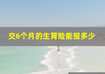 交6个月的生育险能报多少