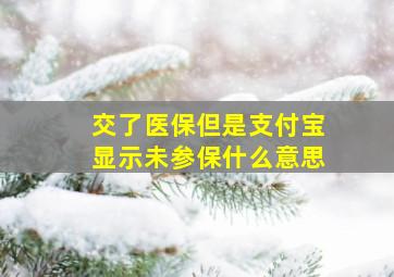 交了医保但是支付宝显示未参保什么意思