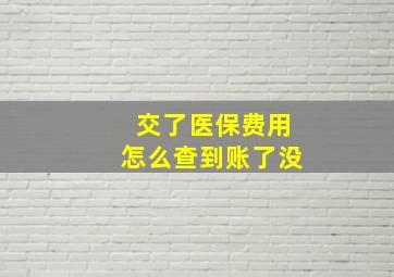 交了医保费用怎么查到账了没