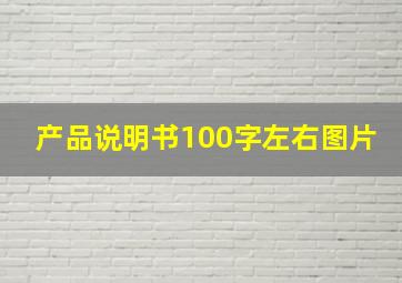 产品说明书100字左右图片