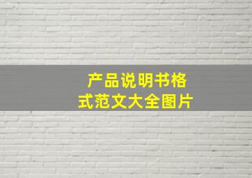 产品说明书格式范文大全图片