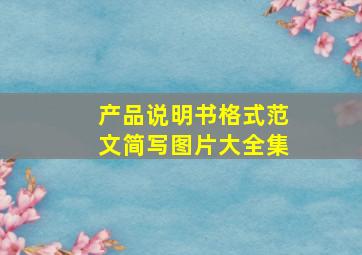 产品说明书格式范文简写图片大全集