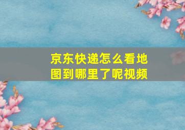 京东快递怎么看地图到哪里了呢视频