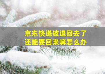 京东快递被退回去了还能要回来嘛怎么办