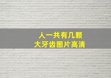 人一共有几颗大牙齿图片高清