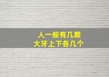 人一般有几颗大牙上下各几个