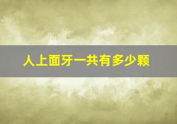 人上面牙一共有多少颗