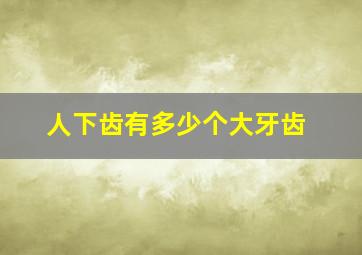 人下齿有多少个大牙齿