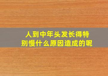 人到中年头发长得特别慢什么原因造成的呢