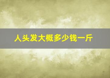 人头发大概多少钱一斤