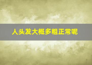 人头发大概多粗正常呢