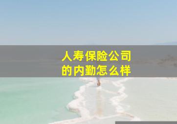 人寿保险公司的内勤怎么样