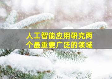 人工智能应用研究两个最重要广泛的领域