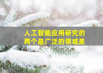 人工智能应用研究的两个最广泛的领域是