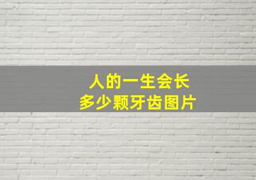 人的一生会长多少颗牙齿图片