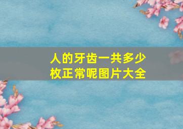 人的牙齿一共多少枚正常呢图片大全