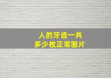 人的牙齿一共多少枚正常图片