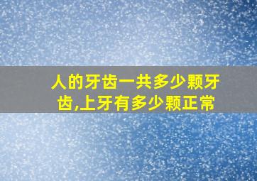 人的牙齿一共多少颗牙齿,上牙有多少颗正常