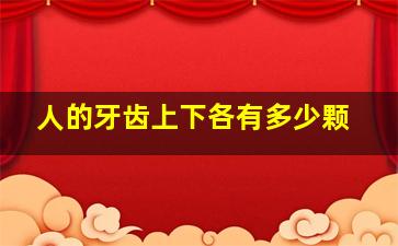 人的牙齿上下各有多少颗