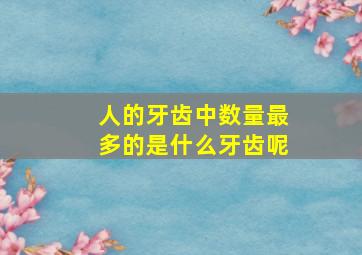 人的牙齿中数量最多的是什么牙齿呢