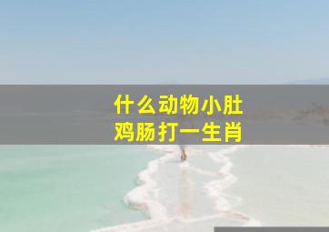 什么动物小肚鸡肠打一生肖