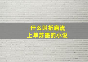 什么叫折磨流上单苏墨的小说