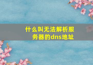 什么叫无法解析服务器的dns地址