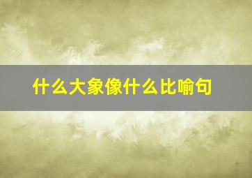 什么大象像什么比喻句