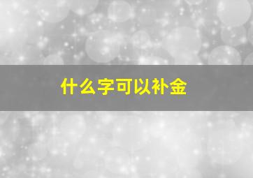 什么字可以补金