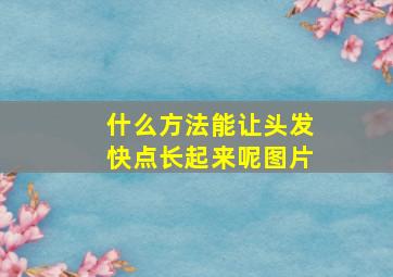 什么方法能让头发快点长起来呢图片