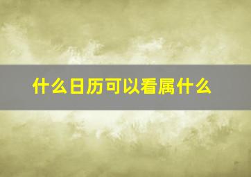 什么日历可以看属什么