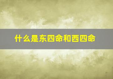 什么是东四命和西四命