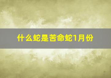 什么蛇是苦命蛇1月份