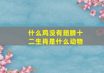 什么鸡没有翅膀十二生肖是什么动物