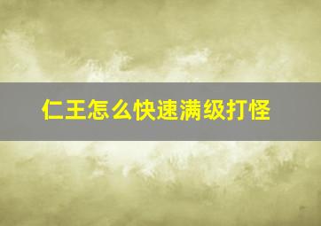 仁王怎么快速满级打怪