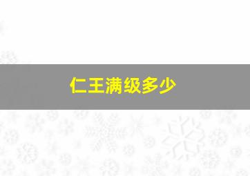 仁王满级多少