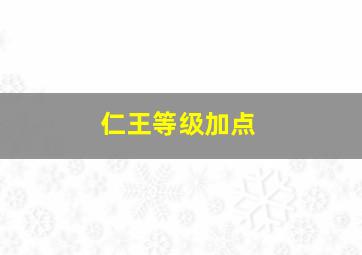 仁王等级加点