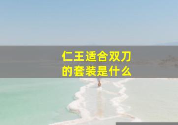 仁王适合双刀的套装是什么