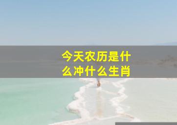 今天农历是什么冲什么生肖