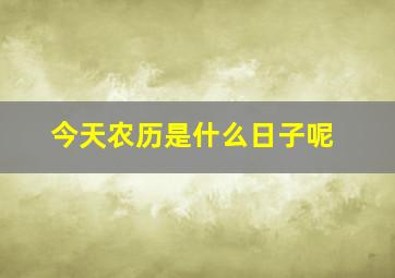 今天农历是什么日子呢