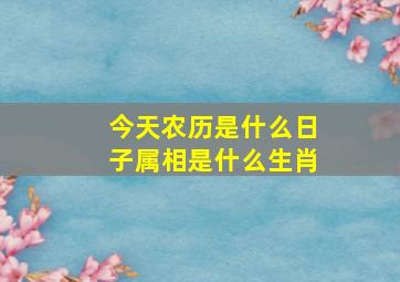 今天农历是什么日子属相是什么生肖