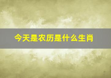 今天是农历是什么生肖