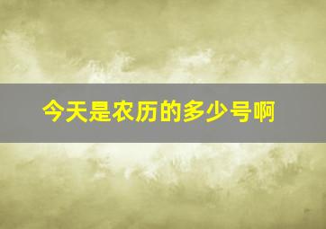 今天是农历的多少号啊