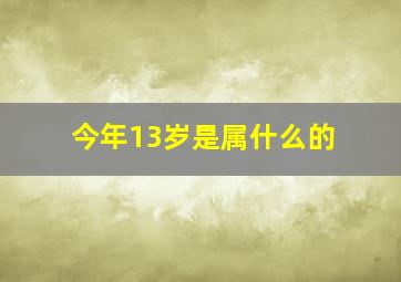 今年13岁是属什么的